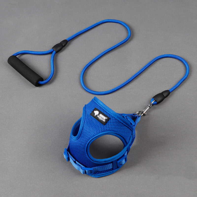 Set de arnés acolchado y correa para perros pequeños en color azul