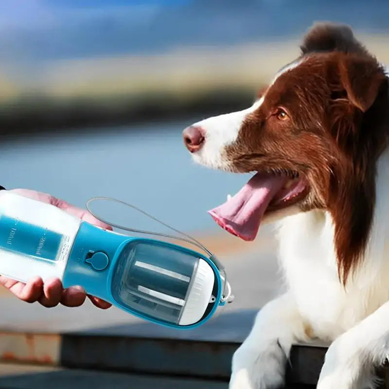Botella de paseo para perros color índigo