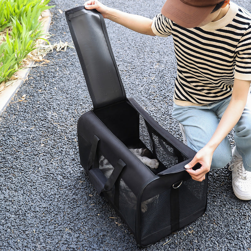 Gato dentro del bolso transportador para mascotas
