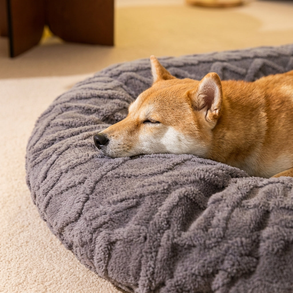 Cama Acolchada para Gatos y Perros — Funda Extraíble y Lavable