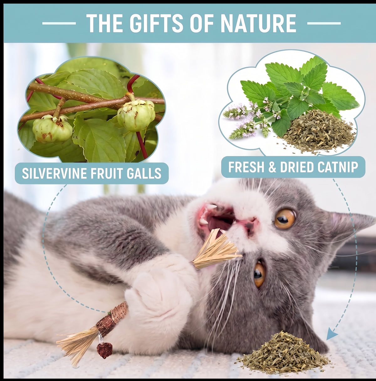 Palitos de silvervine natural para gatos – imagen 8