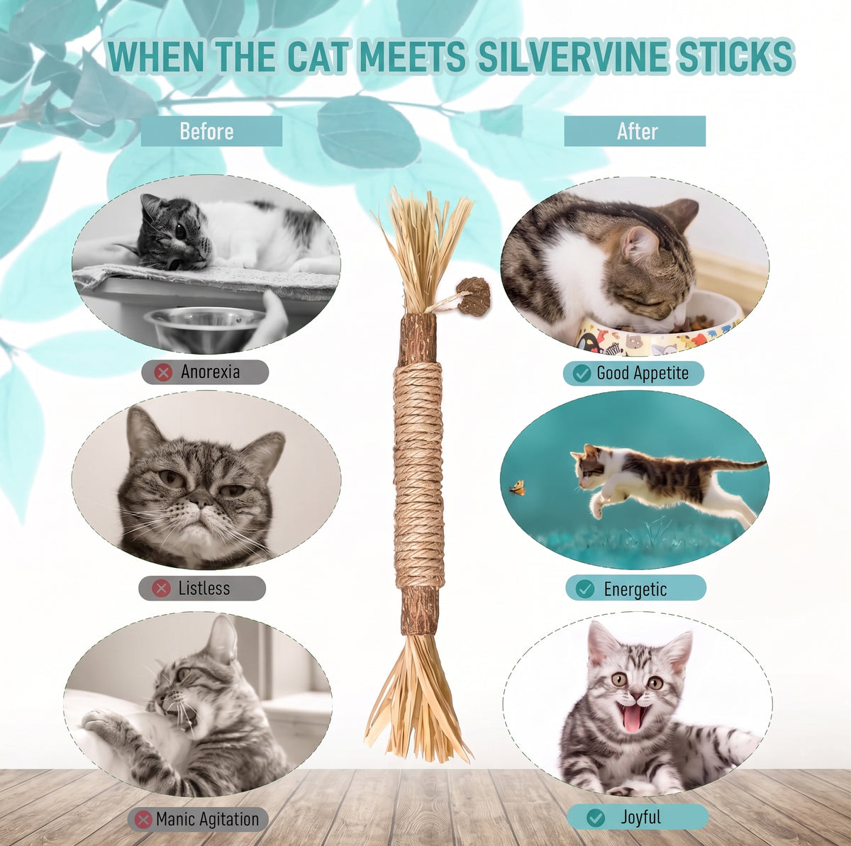 Palitos de silvervine natural para gatos – imagen 6