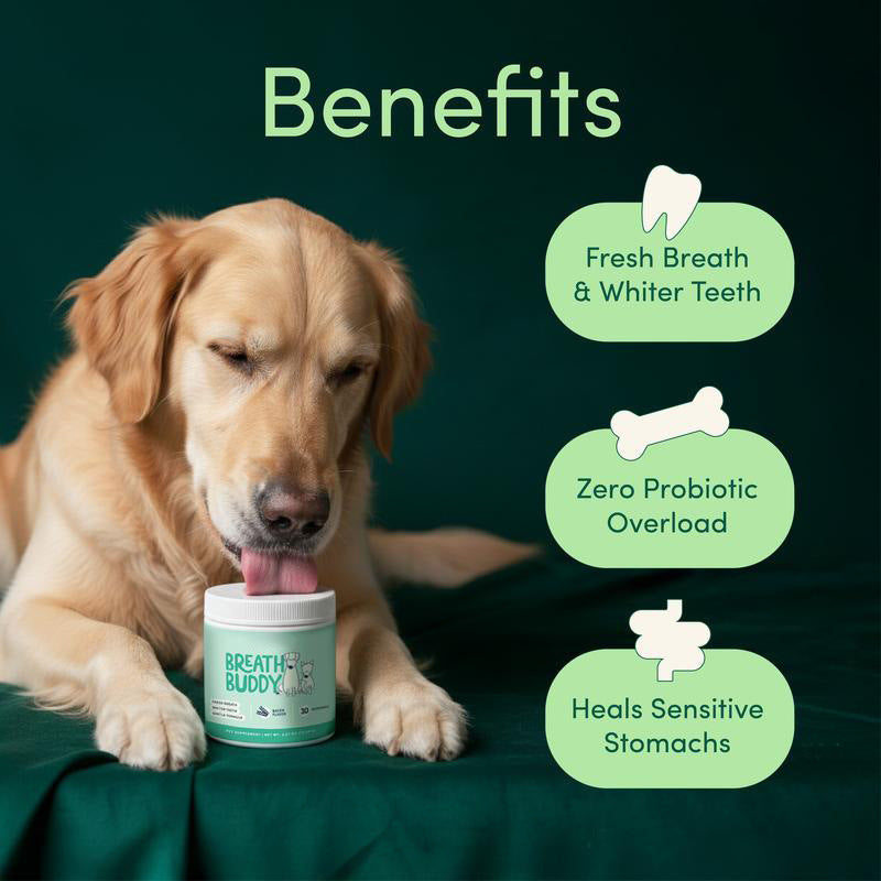 Polvo dental para perros, 75 g – imagen 2