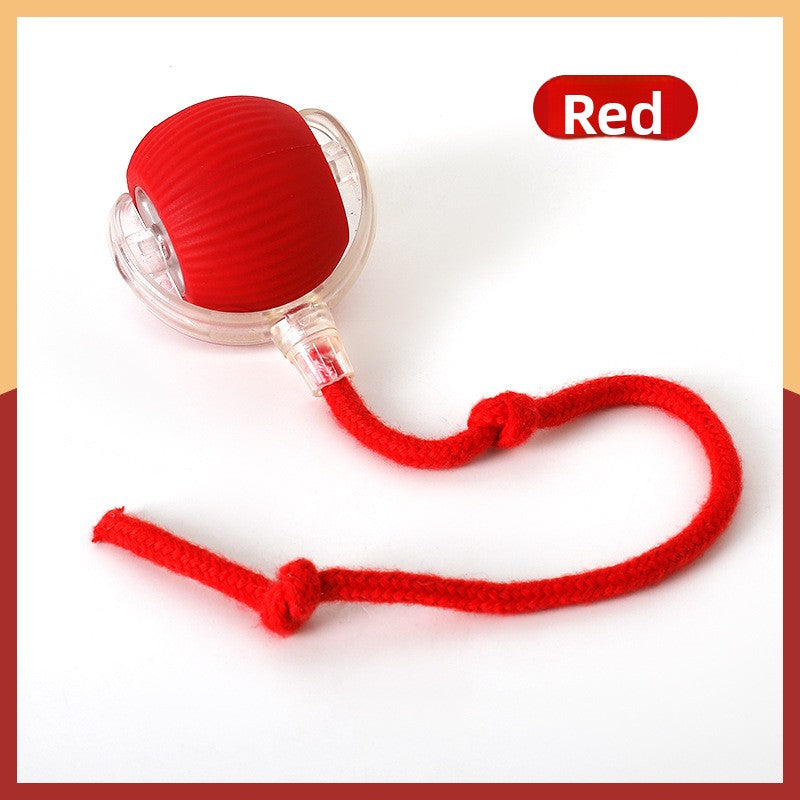 Pelota interactiva automática para gatos y perros – imagen 5