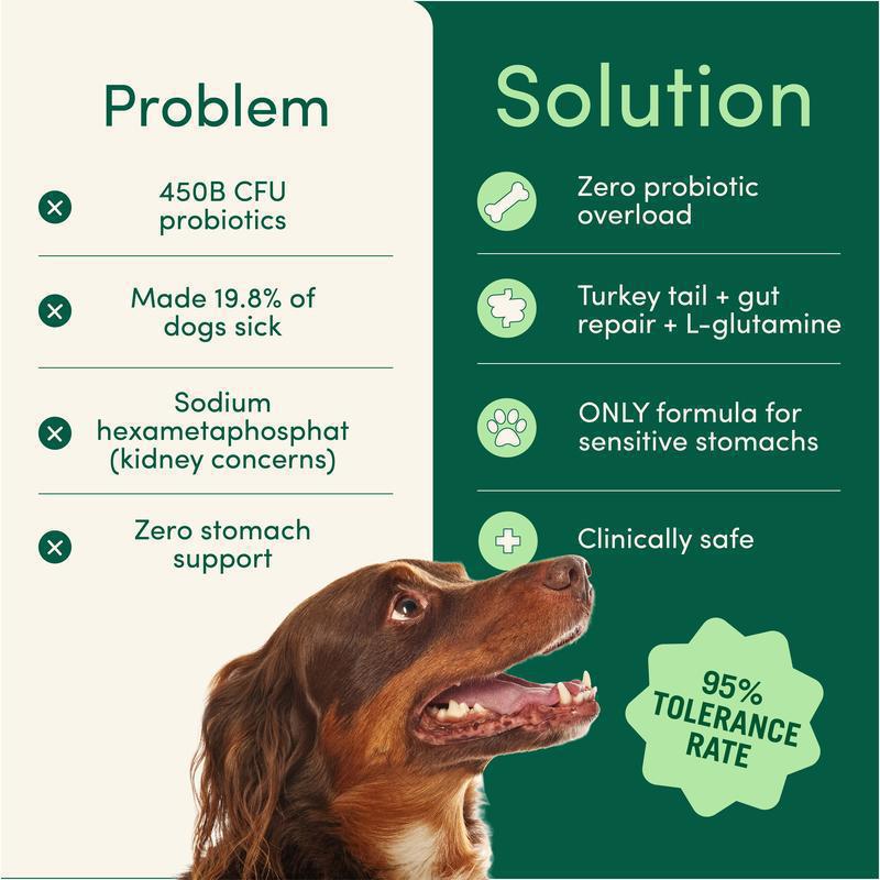 Polvo dental para perros, 75 g – imagen 4